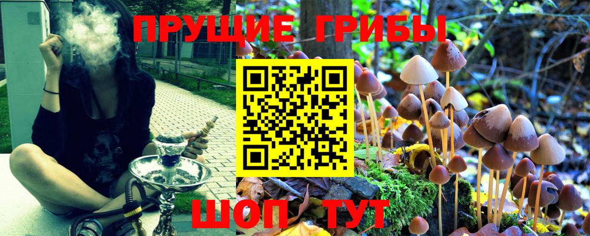 Псилоцибиновые грибы прущие грибы  Вход с VPN  Белорецк 